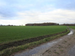 Markeloseberg